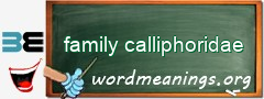 WordMeaning blackboard for family calliphoridae